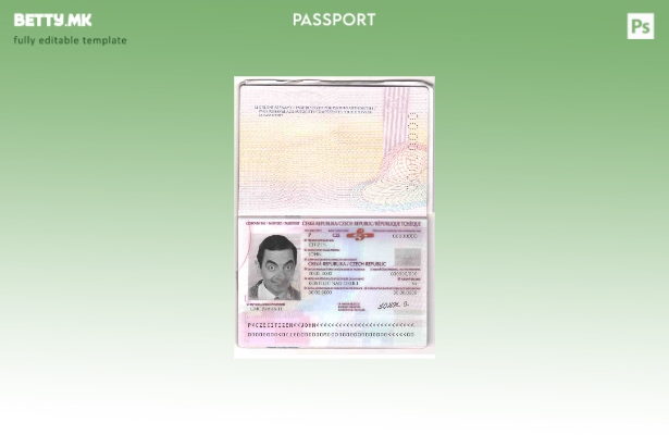 Шаблон за чешки пасош во модерен стил